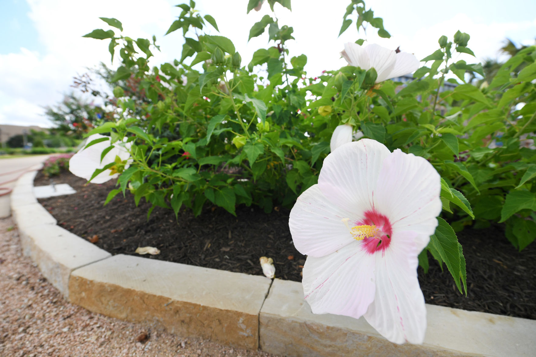 Leach Teaching Gardens